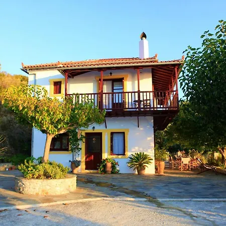 Maria O Villa Glossa